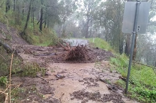 Mud and trees cover the road in Canungra