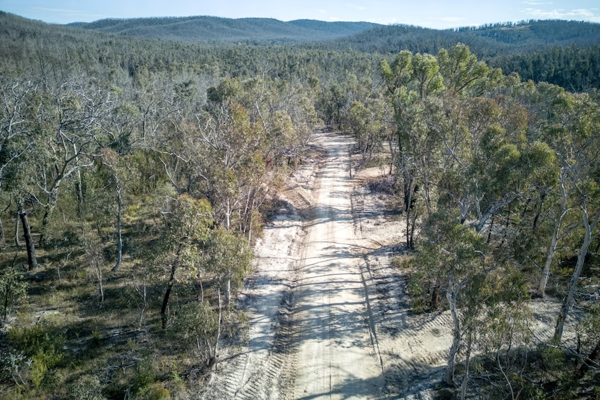 A shot from overhead of a dirt road surrounded by tree, mountains in the distance, blue skies.