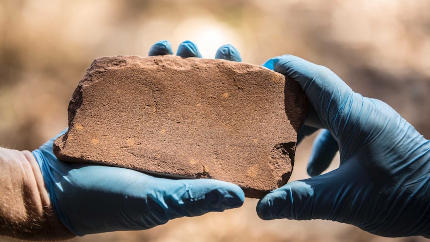 Stone tool from Madjedbebe rock shelter