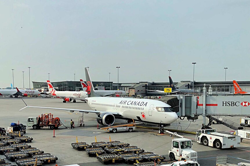 A Boeing 737 jet in Air Canada colours (black white and red) is parked and taking passengers at a busy airport with other jets.