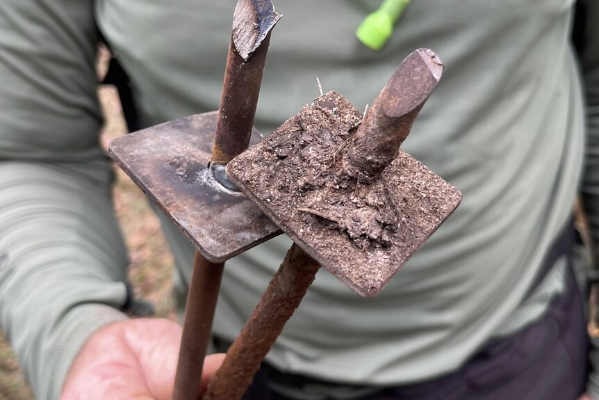 Two rusted metal stakes being held.