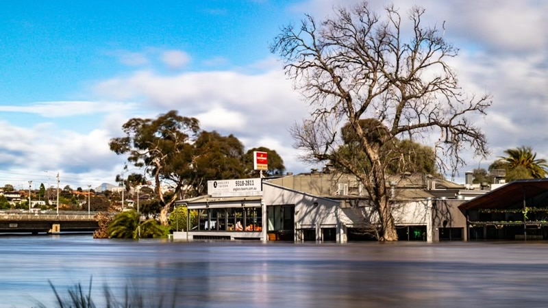 A pub half underwater with a large tree next to it.