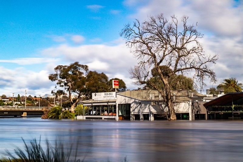 A pub half underwater with a large tree next to it.