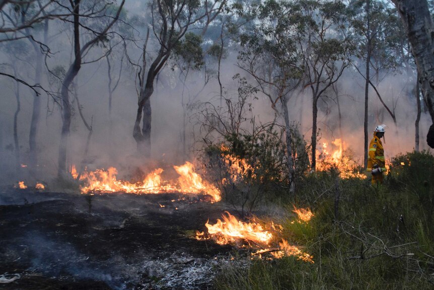 Firefighters battle the Bilpin bushfire in New South Wales.