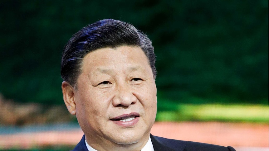 Chinese president Xi Jinping gestures while speaking into a desk microphone