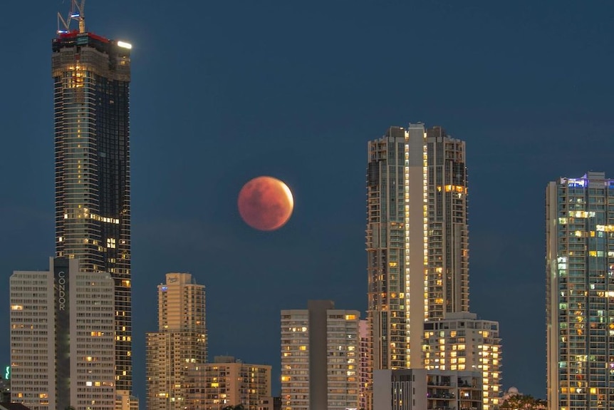 The lunar eclipse seen above the Gold Coast, Queensland. 