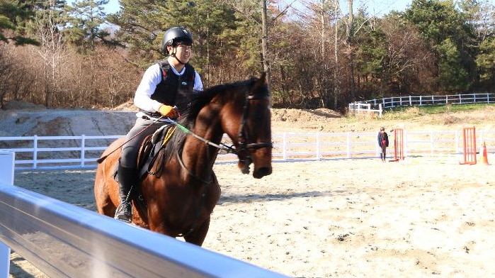 horse ridden by man wearing helmet and holding riding crop