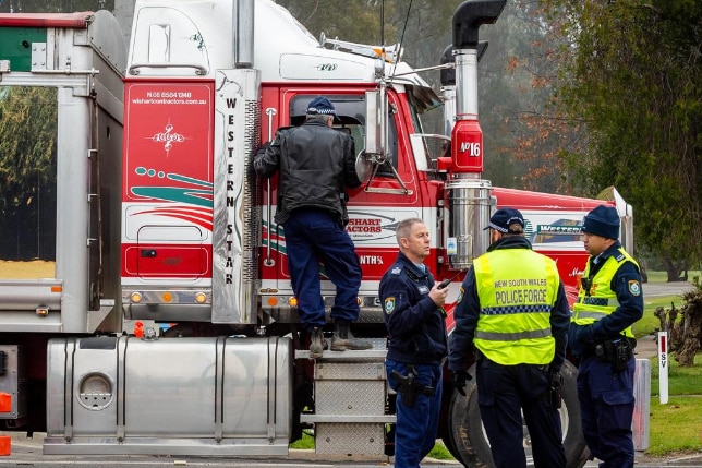 Police inspect a truck at the NSW border.