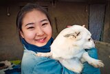 Volunteer worker Jia Tingting holding a small, white rescue dog at a dog shelter on the outskirts of Beijing