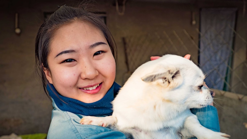 Volunteer worker Jia Tingting holding a small, white rescue dog at a dog shelter on the outskirts of Beijing