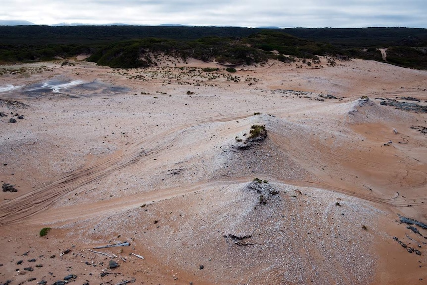 Midden spilt by tracks