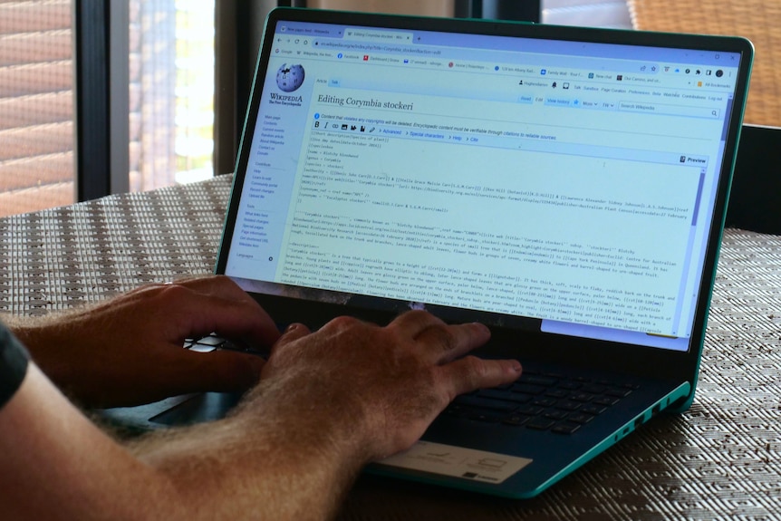 A shot of laptop on a wikipedia page with hands on the keyboard.