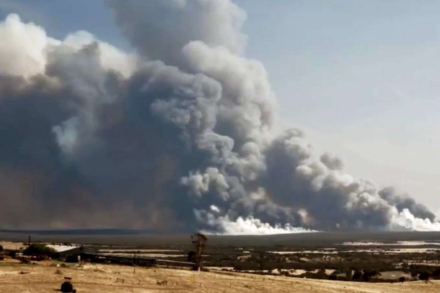 Smoke billows across lower Eyre Peninsula