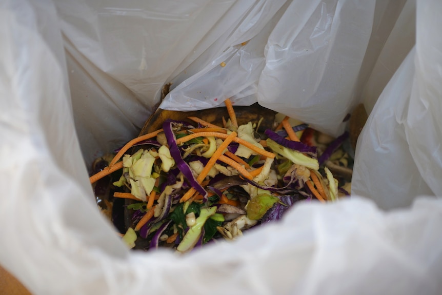 Old salad sits inside an organics bin.