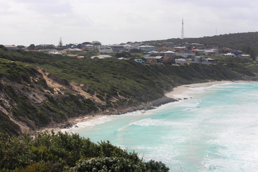 The coastline showing ocean with white waves and houses above.
