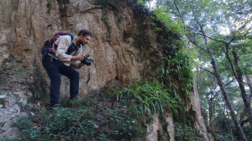 Man standing on leafy rock ledge holding a camera