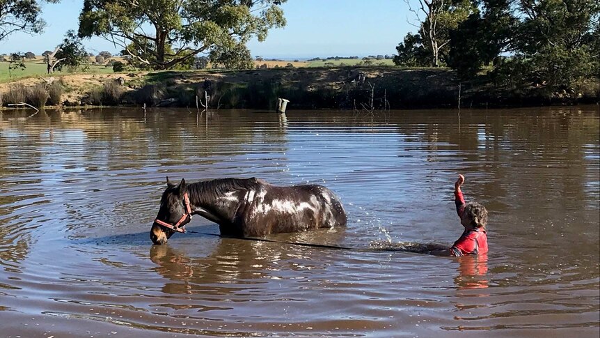 Woman splashes water on her dark brown horse in a lake.