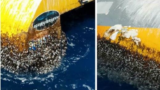 Two images of an overturned yacht in the ocean