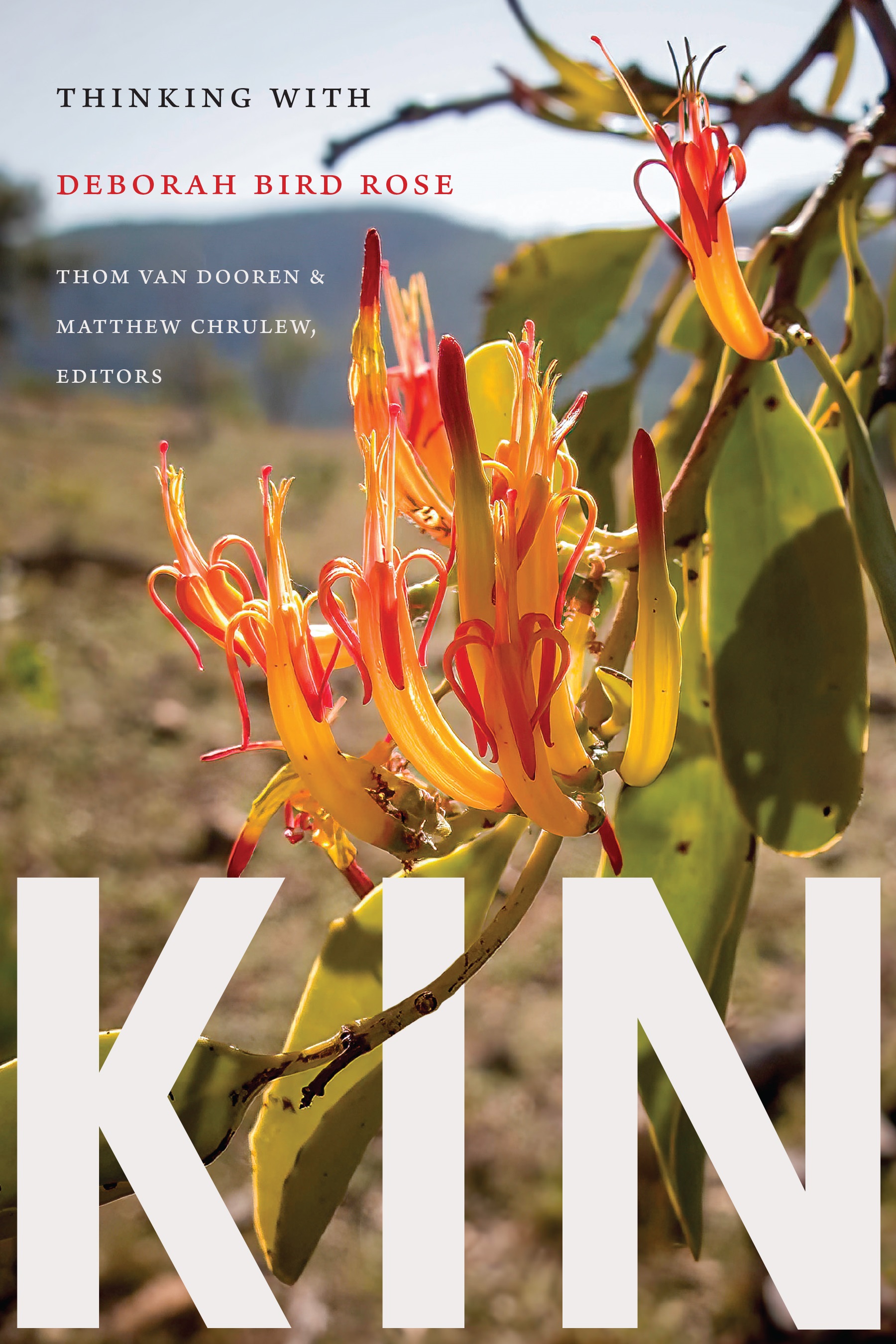 Cover of Kin: Thinking with Deborah Bird Rose featuring a photograph of a native orange flower