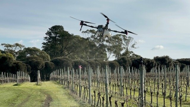 Paddocks too wet so use a drone to spray