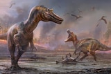 Two big brown and orange speckled dinosaurs in an apocalyptic rendition with fire approaching 