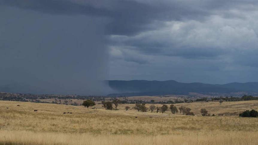 Storm cell rolls into North Canberra