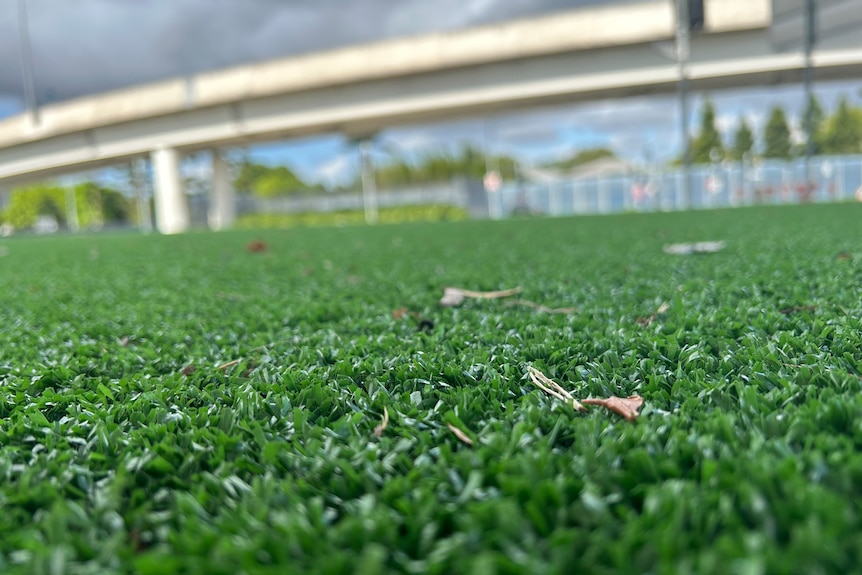 An image of green artificial grass with a road overpass in the distance.