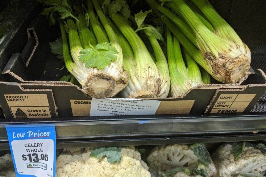 A photo of a celery