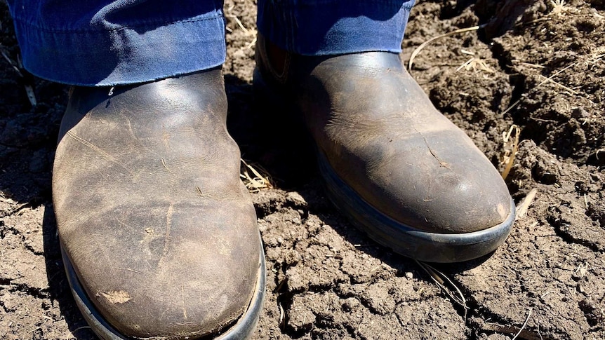 A pair of dirty boats standing on cracked, dry soil