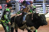 A small boy wearing a helmet and padded vest, sits on a huge bull in a bull riding competition.