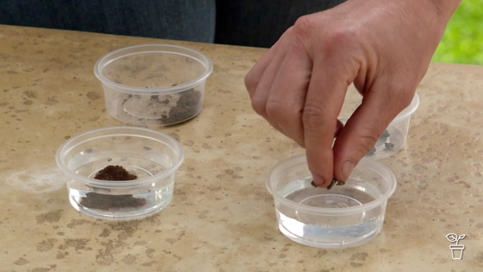 Plastic containers filled with different soil samples.