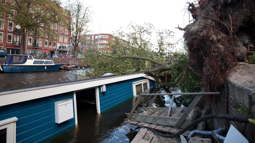 A tree lies on a houseboat in Amsterdam.