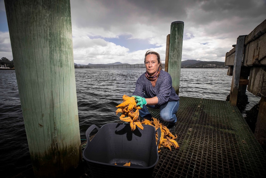 A woman holds seastars that she's about to throw in a bucket.