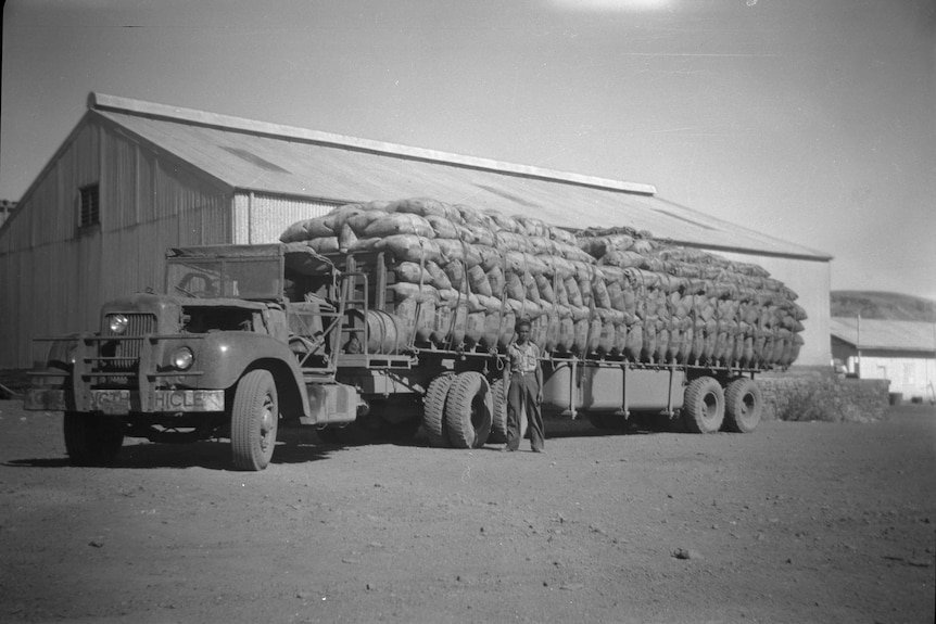 Black-and-white image of truck driver with a truck full of asbestos bags.