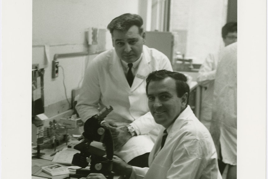 John Gorman sitting infront of a microscope while his research partner Vince Freda sits on the desk next to him in 1968 
