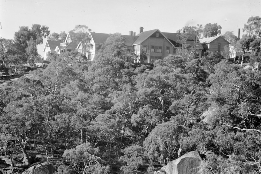 Black and white photo of a granite gorge, with a ski chalet positioned a top it surrounded by trees