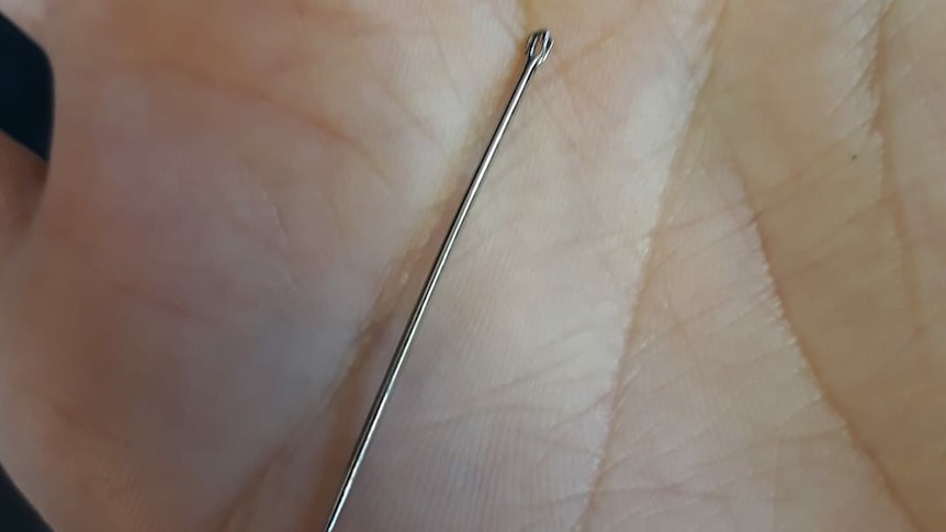 A needle pulled from a strawberry by Angela Stevenson.