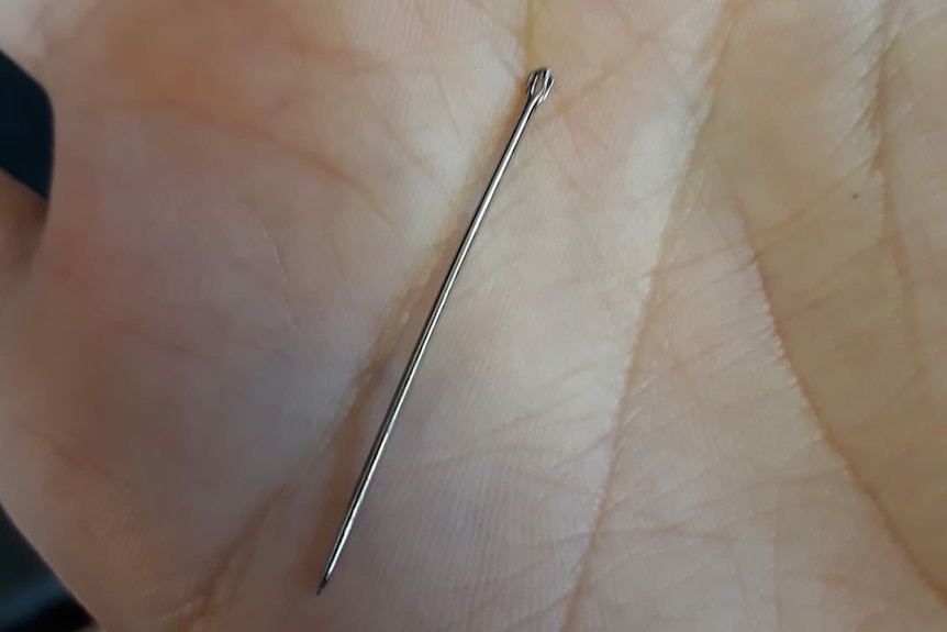 A needle pulled from a strawberry by Angela Stevenson.