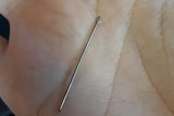 A needle pulled from a strawberry by Angela Stevenson.
