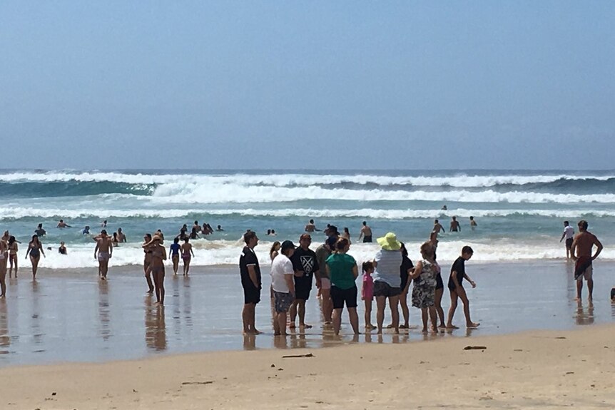 Fifty people have been rescued on Queensland beaches.