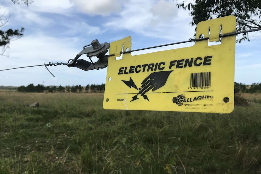 A close up of a sign warning of an electric fence with the wire running behind it.
