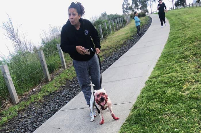 A woman on a walking path with a dog which has blood on its face and paws.