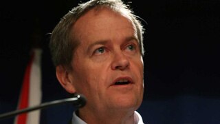 Bill Shorten will stand for the Labor leadership.