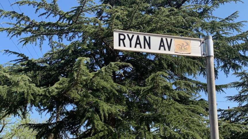 A picture of a street sign saying Ryan Avenue
