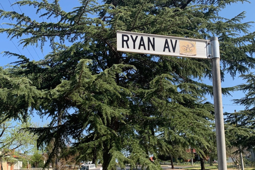 A picture of a street sign saying Ryan Avenue
