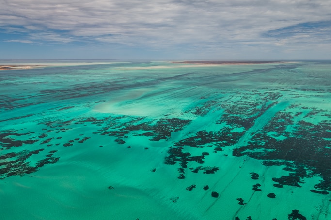 An aerial shot of turquoise waters. 