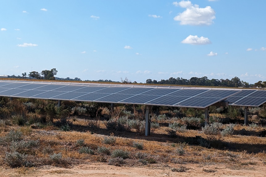 two rows of solar panels, blue sky and bushland scrub and dirt