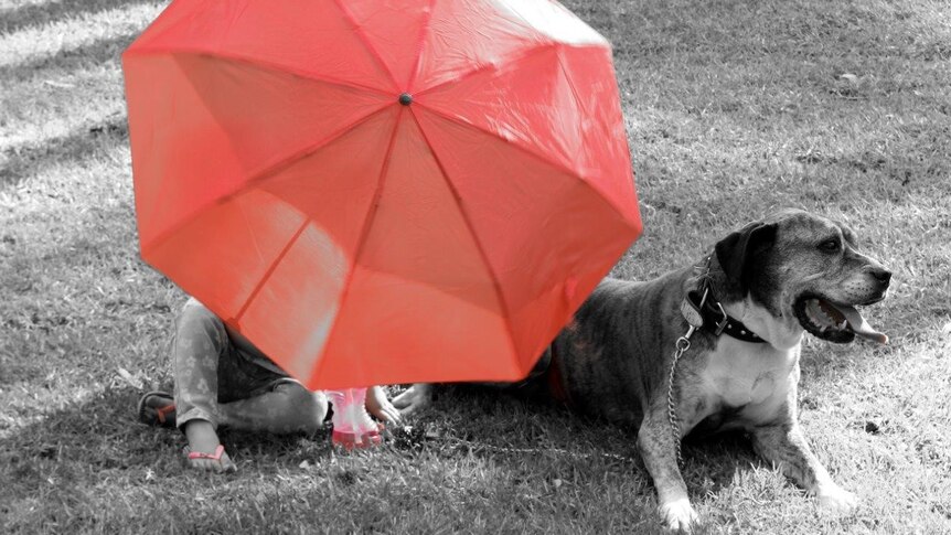 A child hidden behind a red umbrella with her dog sitting next to her