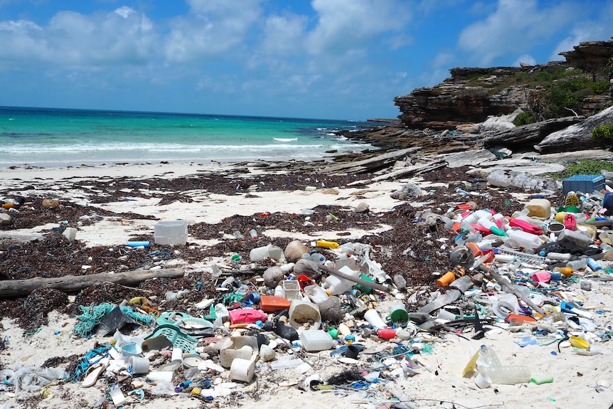 Plastic waste washed up on a beach.