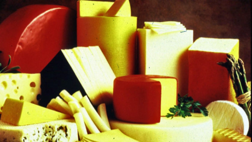 A selection of cheese
